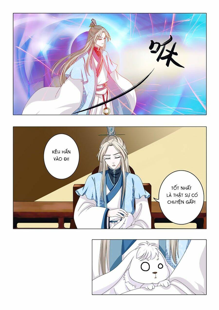 đống phù đã khai quang chapter 19 13