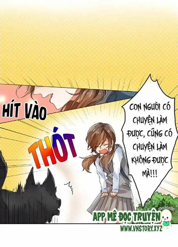 ngàn vạn nụ hôn đầu chapter 1 38