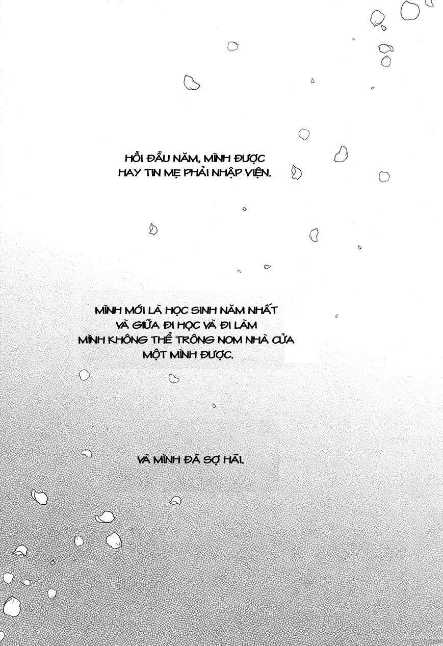 chuyện tình nhẹ nhàng và ngọt ngào chapter 18 1