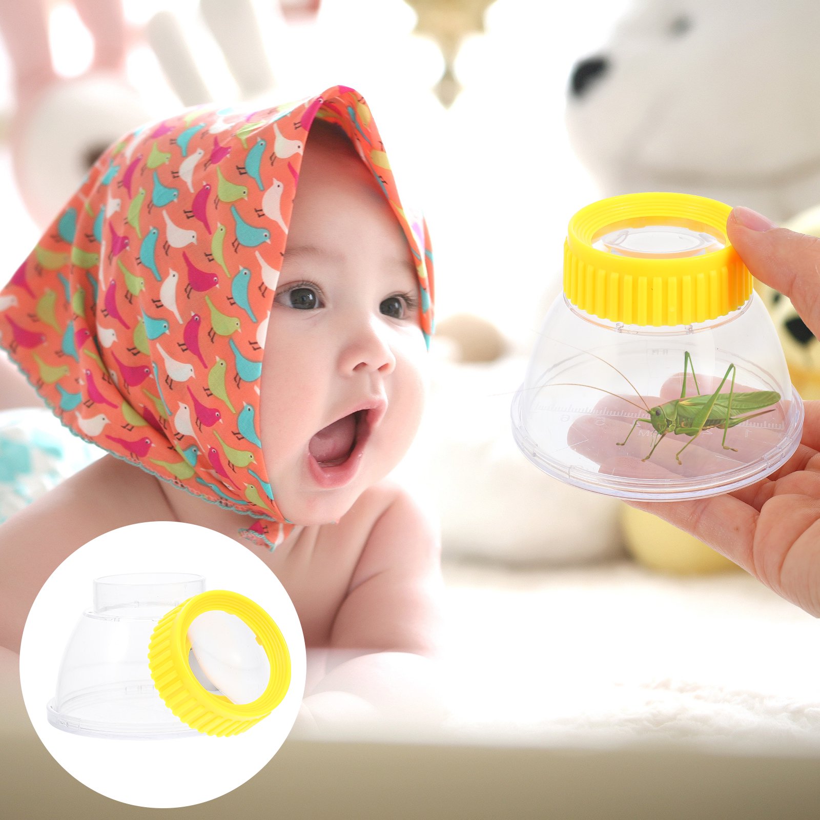 Hộp quan sát côn trùng