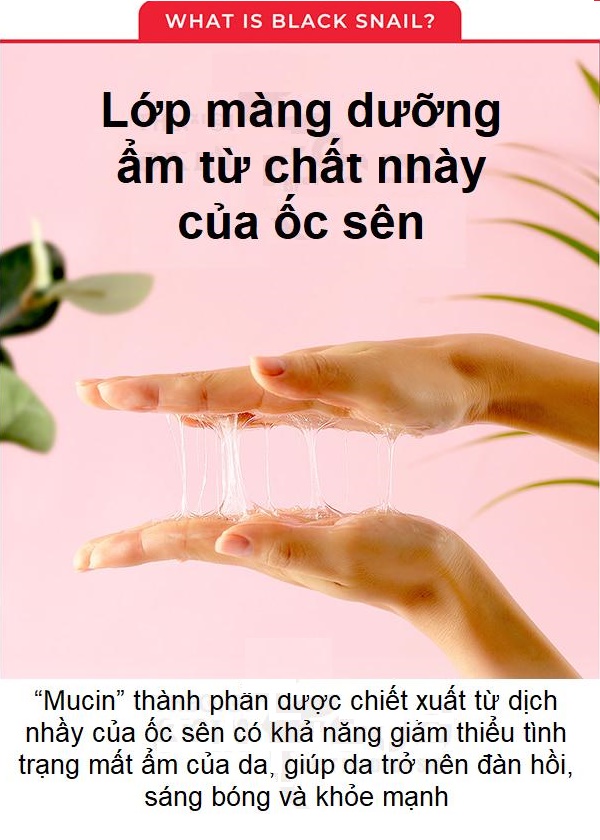 Bộ Dưỡng Da, giúp săn chắc, Phục Hồi, Cải Thiện Vết Thâm, Sẹo Some By Mi Snail Truecica Miracle Repair