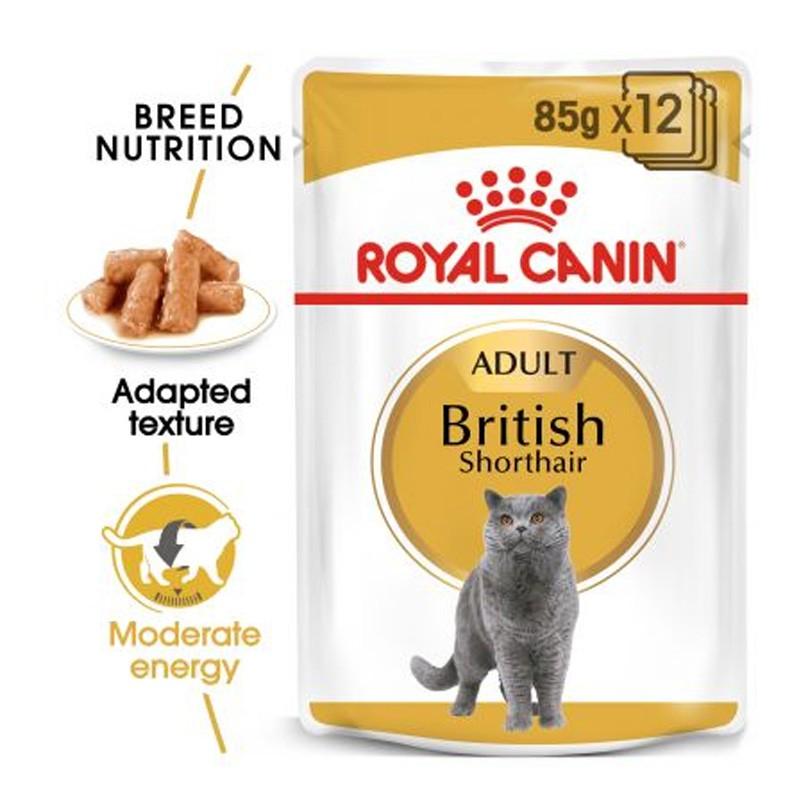 Pate súp dành riêng cho mèo anh lông ngắn royal canin
