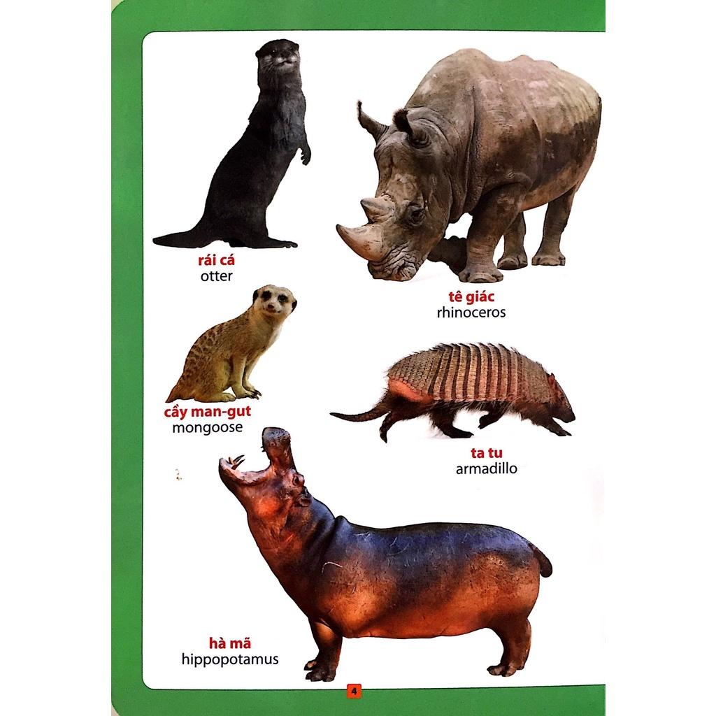 Từ Điển Bằng Hình - Loài Vật Quanh Em - Sách Song Ngữ Cho Bé KĐ