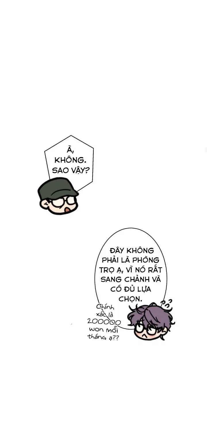 bí mật của omega k chapter 26 29