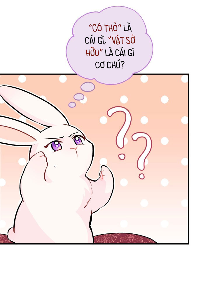 mối liên kết giữa báo đen và bé thỏ chapter 2 24