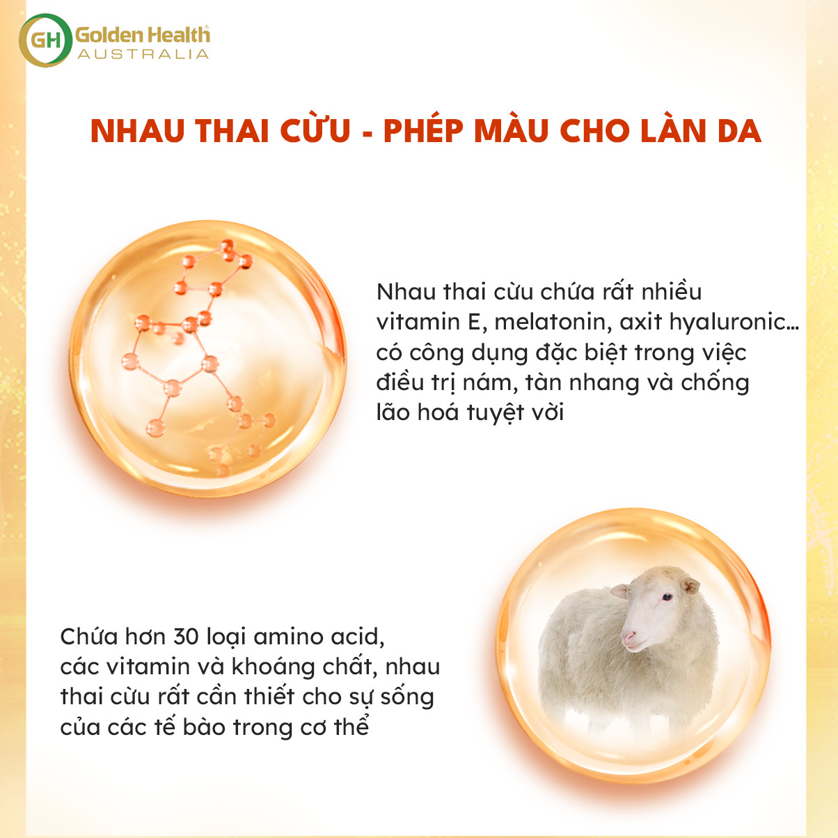 Viên Uống Nhau Thai Cừu Golden Health Placenta 50.000mg Giúp Làm Mờ Thâm, Nám,Tàn Nhang,Giúp Chống oxy Hoá Và Chống Lão Hoá Da