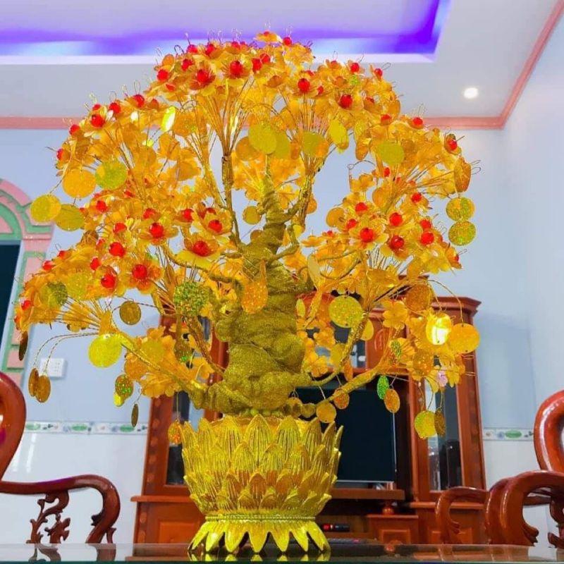 Bộ thân bonsai và đế cây cành vàng lá ngọc hoa mai bonsai