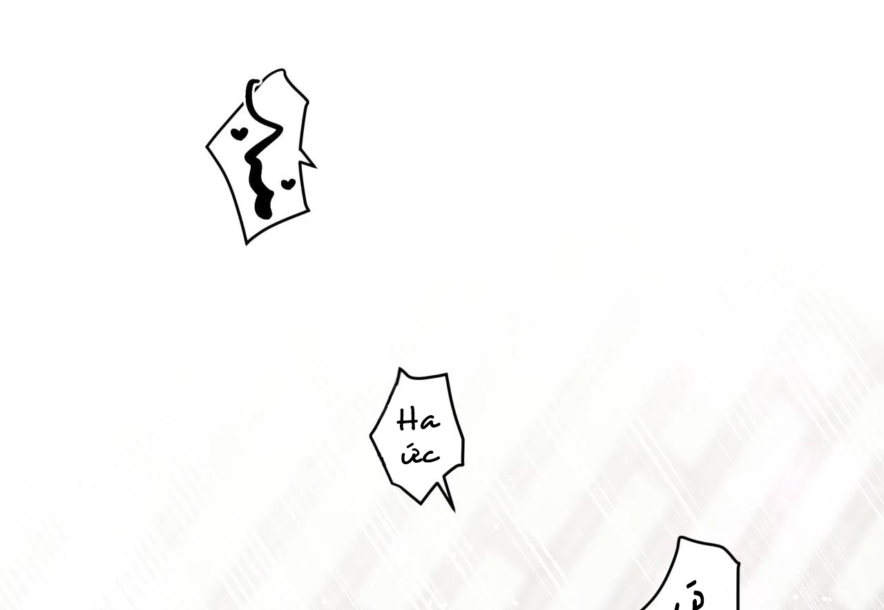 ám ảnh pheromone chapter 38 40