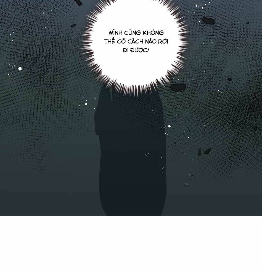 cô vợ hợp đồng bỏ trốn của tổng giám đốc chapter 448 48