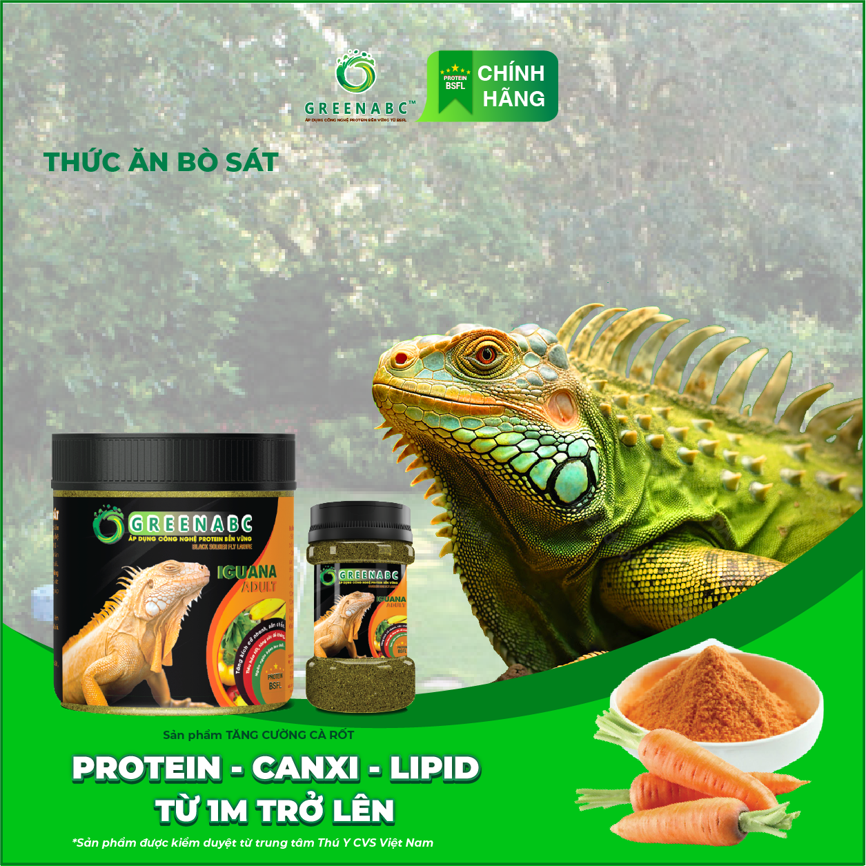 Thức ăn bò sát Iguana Trưởng Thành GREENABC vị cà rốt dùng cho Iguana từ 1m trở lên giúp gai bung, gù cao, dáng đẹp, lên màu tươi – Hộp 230g