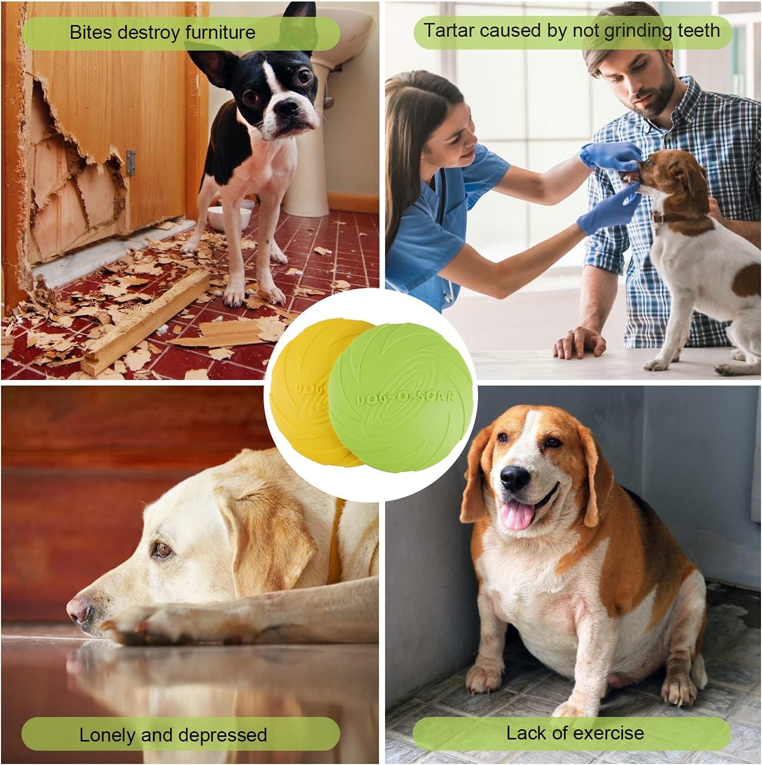 Frisbees cho chó, chó frisbee, đồ chơi chó frisbee, đĩa ném cao su chống