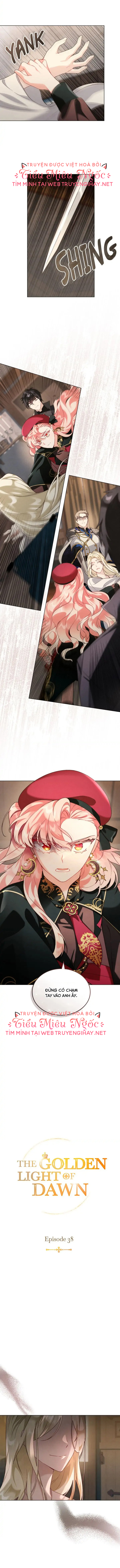 ánh sáng của bình minh chapter 38 6
