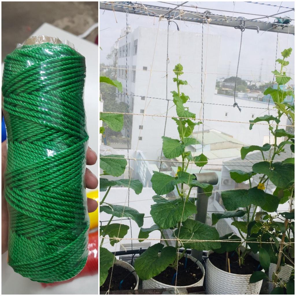 Dây Thừng, CƯỚC PE, HDPE nhiều màu , Làm Giàn Leo Cho Cây Dưa Lưới, Dưa Leo//