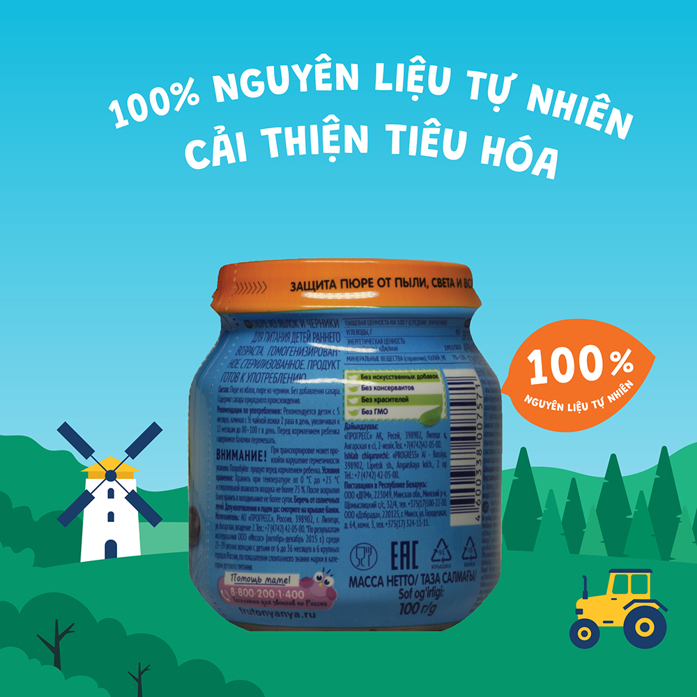 Combo 6 lọ Trái cây nghiền vị táo và việt quất Fruto Nyanya 100g/lọ