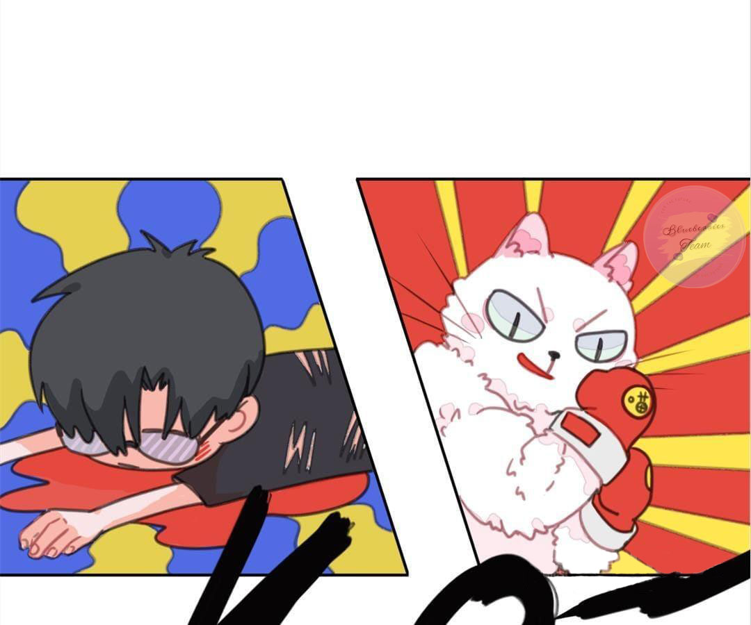 social cat chapter 1 77