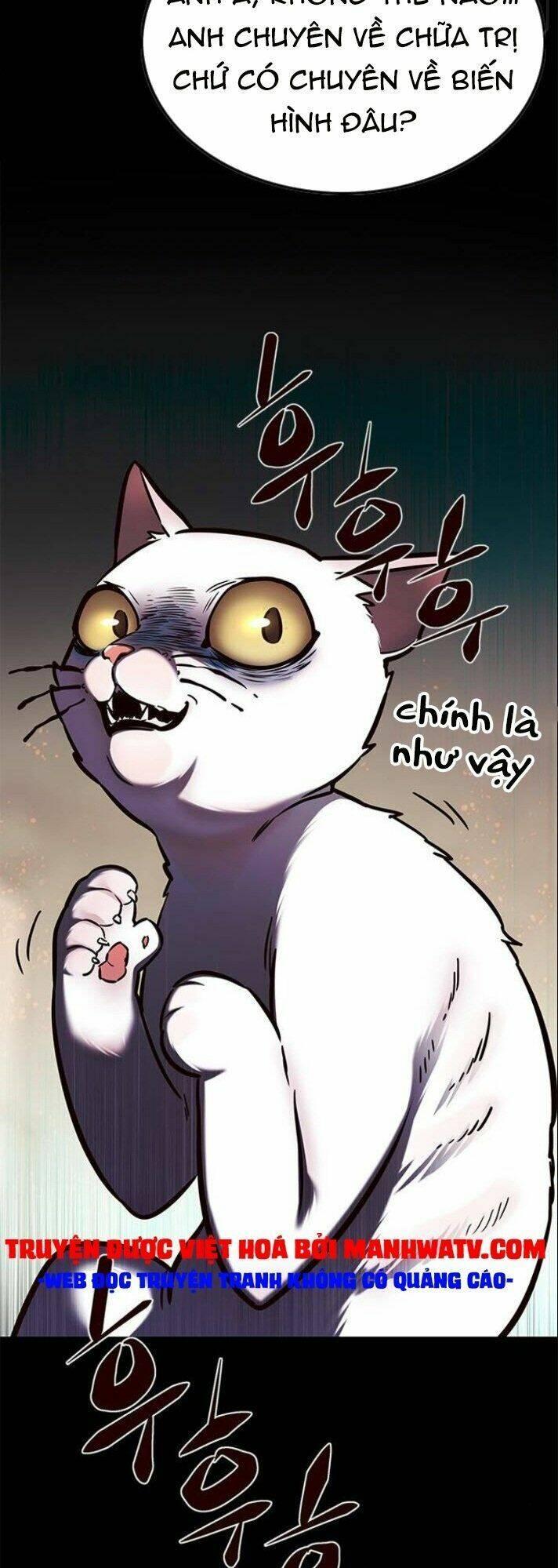biến thân thành mèo chapter 142 12