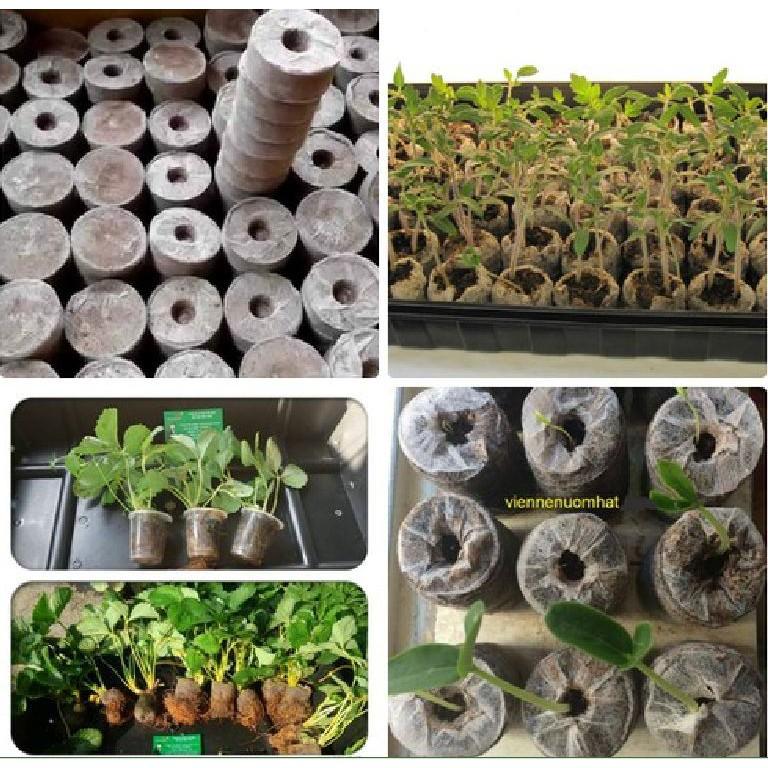 Viên nén ươm hạt xơ dừa