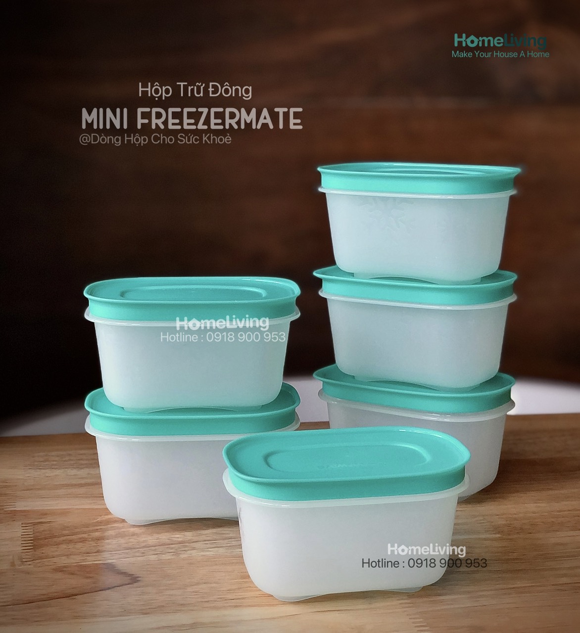 Bộ Trữ Đông Tupperware Mini Freezermate Gen II 170ml (6)