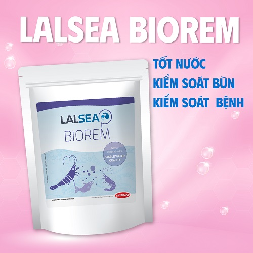 Vi sinh xử lý nước ao nuôi thủy sản LALSEA BIOREM