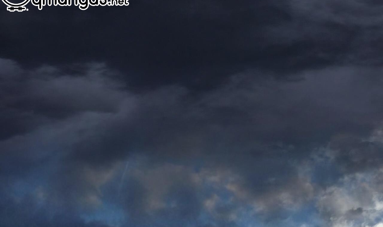 đàn thỏ của habibi chapter 55 72