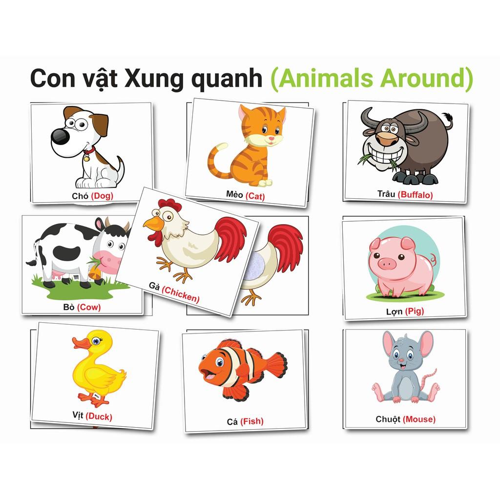 Monsi Edu Học Liệu Dính Dán Tổng Hợp 18 Chủ Đề Matching Book F18MM