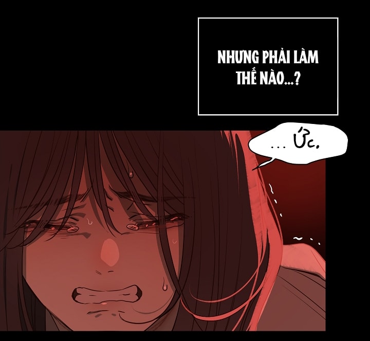 [18+] hoa là mồi nhử chapter 2 41