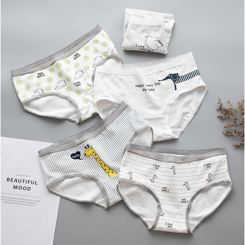 Sét 5 Quần Lót Cotton