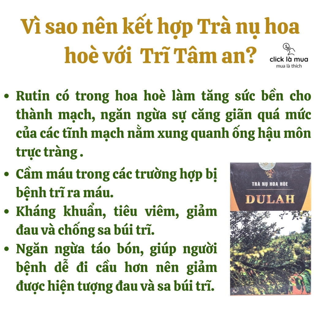 Giảm táo bón, nhuận tràng, co búi Trĩ tâm an giảm phù nề, các triệu chứng của trĩ, tăng cường sức bền mạch máu 60 viên