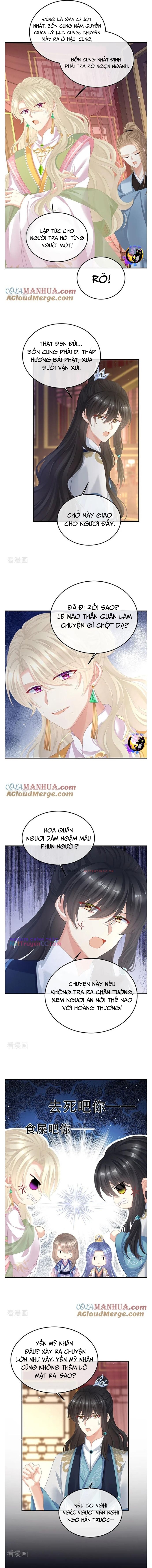 hậu cung của nữ đế - mùa 2 chapter 11 5