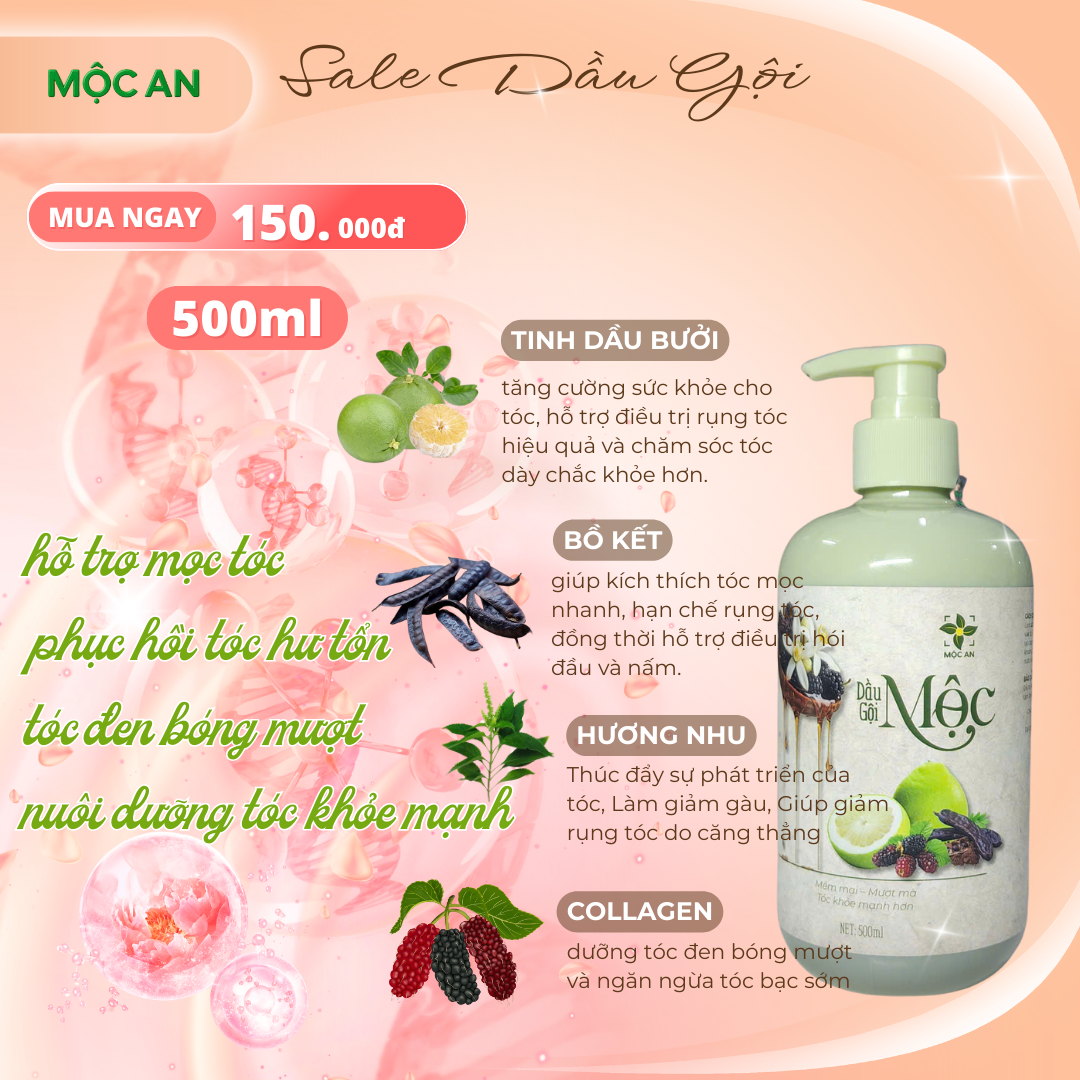 [MUA 1 TẶNG 1] Dầu Gội Giảm Rụng Tóc Thiên Nhiên MỘC Chiết Xuất Dầu Bưởi, Bồ Kết, Hương Nhu, Dâu Tằm Hỗ Trợ Mọc Tóc Giảm Rụng Tóc, Suôn Mượt Chai 500ml - Sản Phẩm MỘC AN