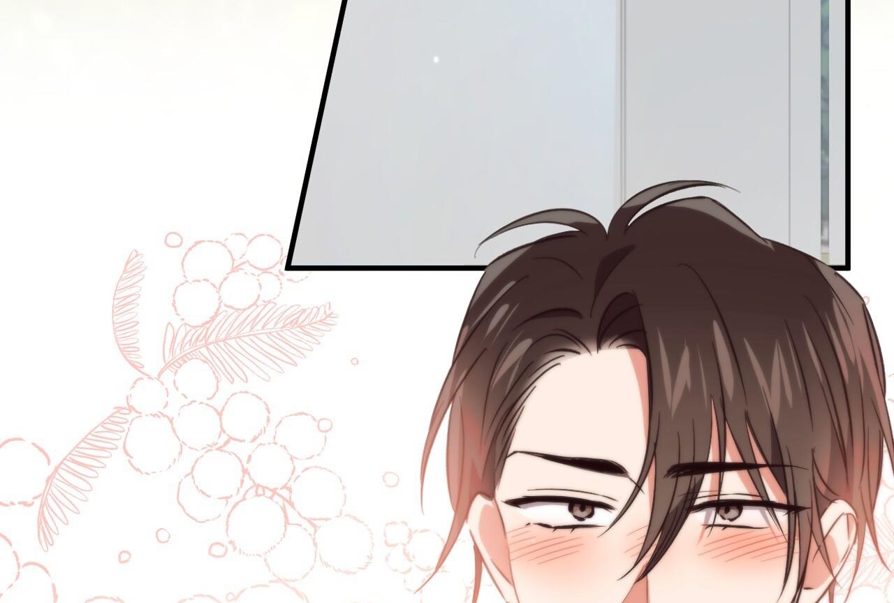 đàn thỏ của habibi chapter 65 270