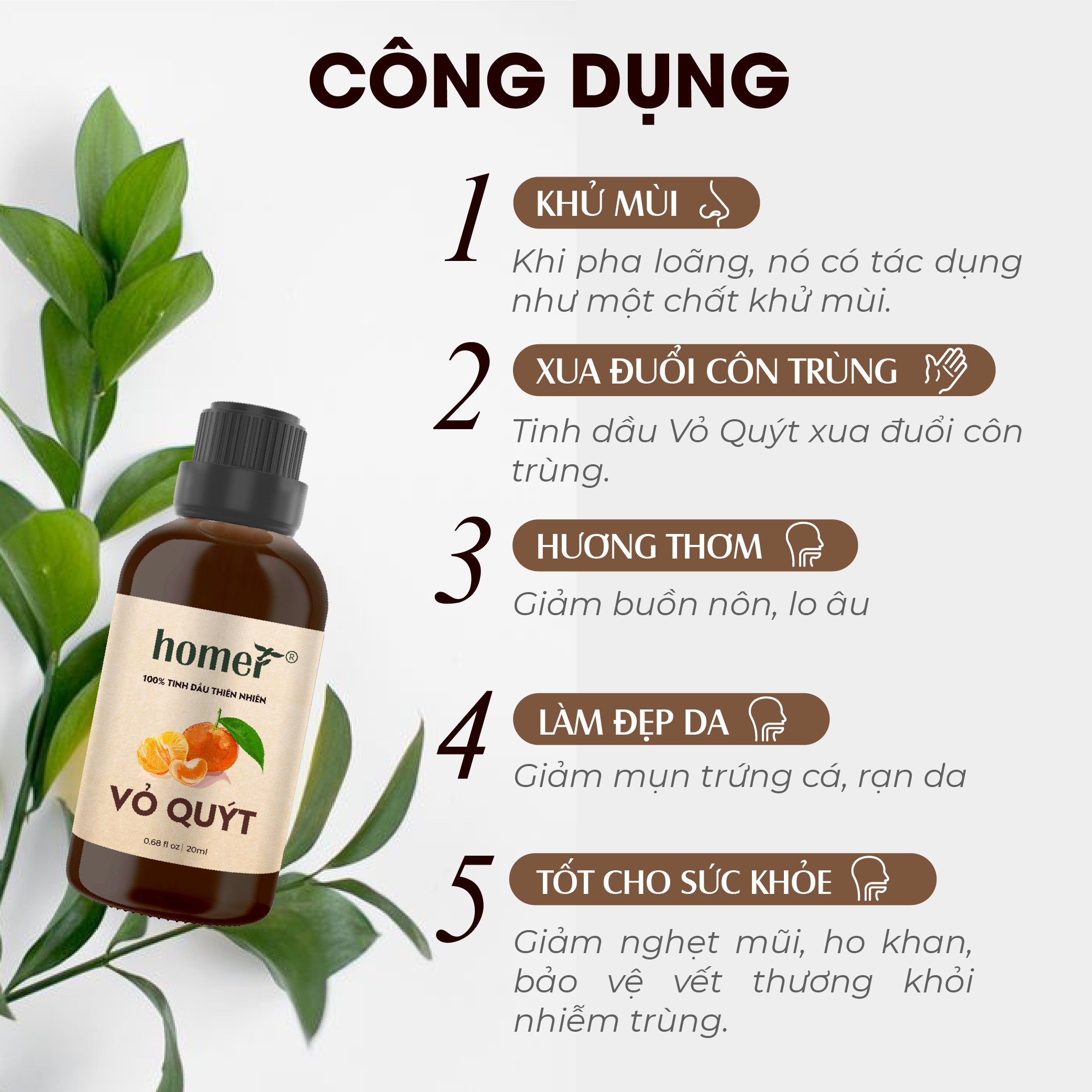 Tinh Dầu Quýt Homer 100ml - Chính Hãng, Đạt Chuẩn Kiểm Định Cao Cấp - Tinh Dầu Xông Thơm Phòng, Thư Giãn, Khử Mùi hiệu quả