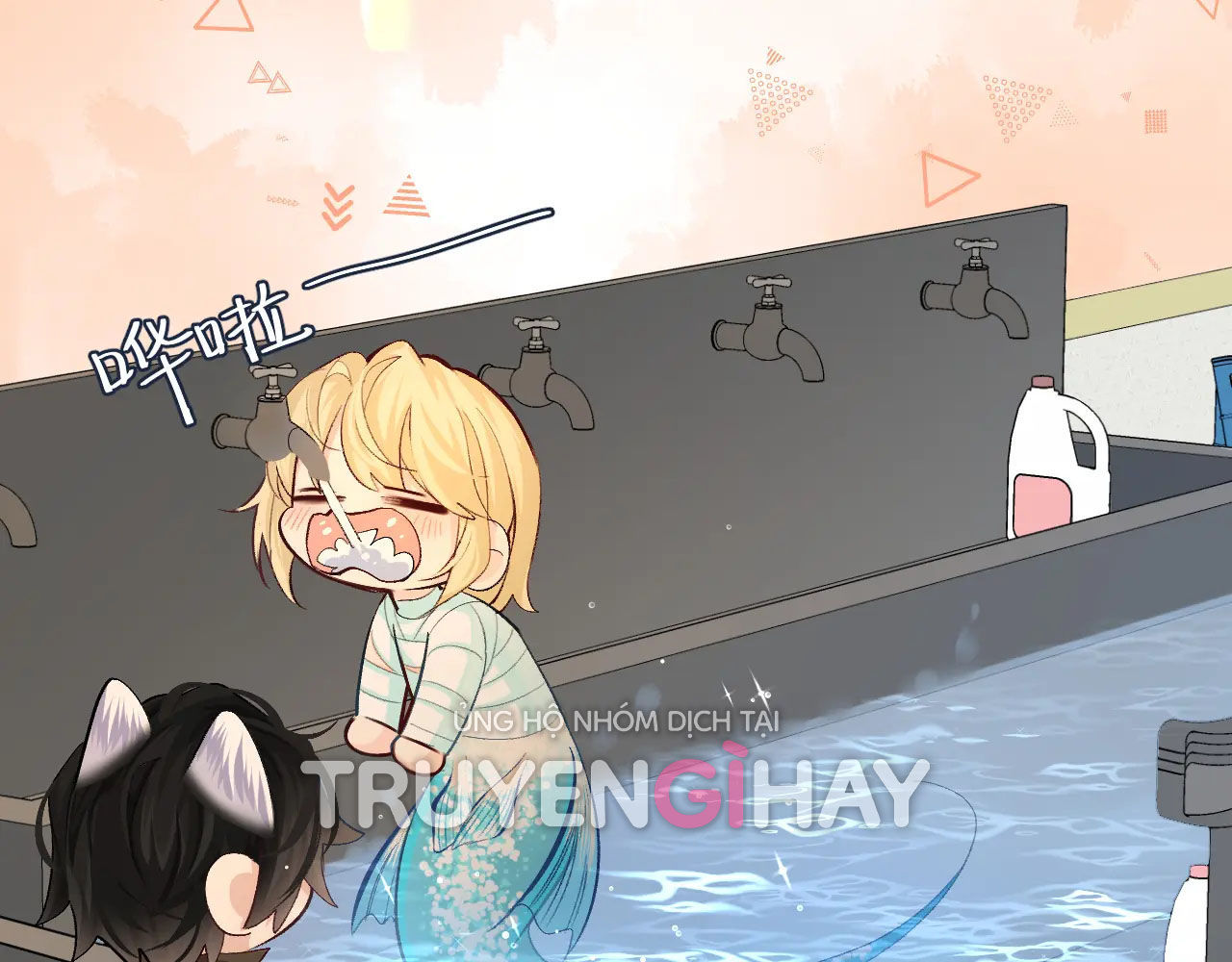 nhân ngư sa ngã chapter 20.2 5