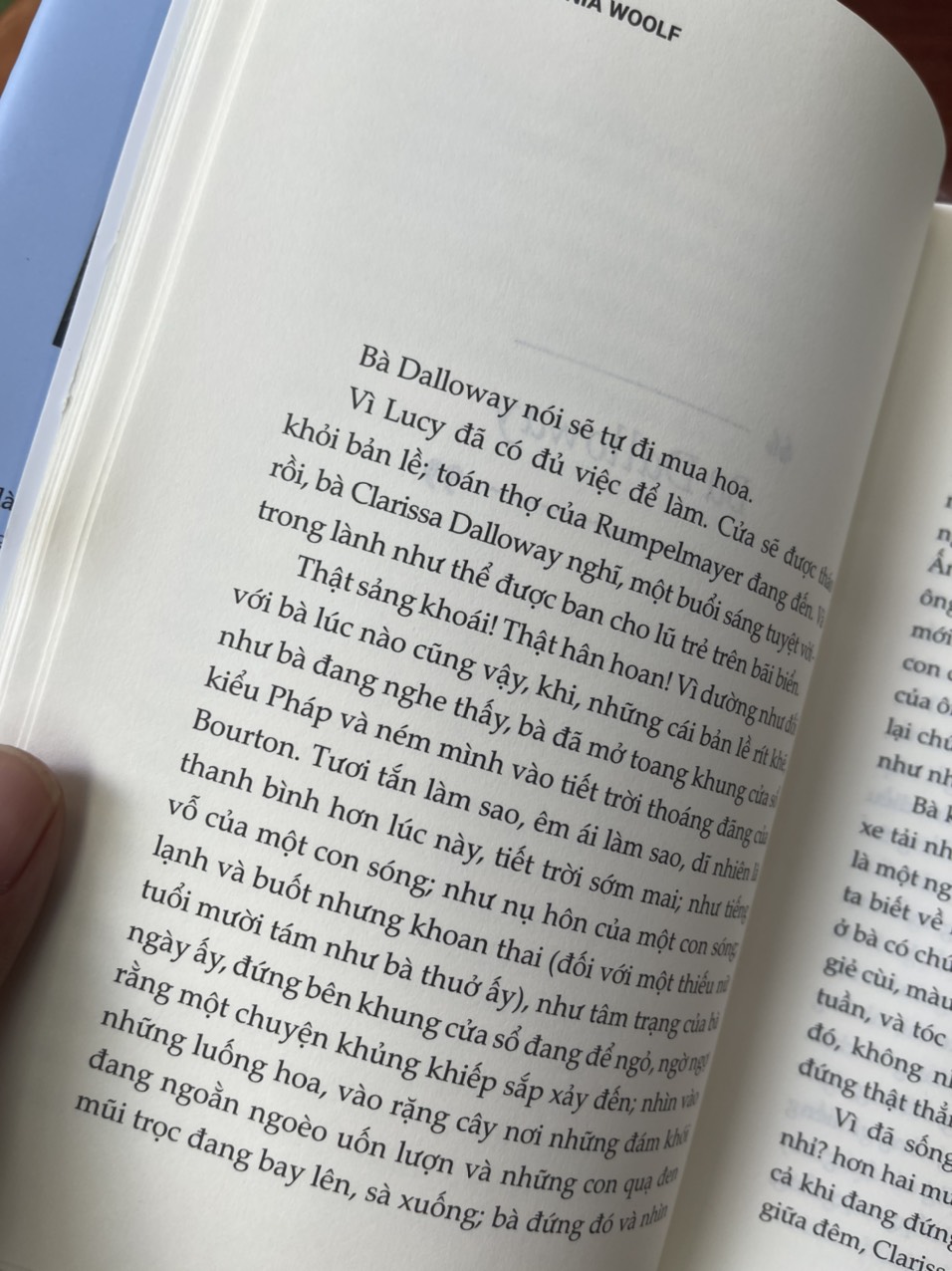 BÀ DALLOWAY –- Virgina woolf – Trần Nguyên dịch – Rainbow – NXB Phụ Nữ Việt Nam