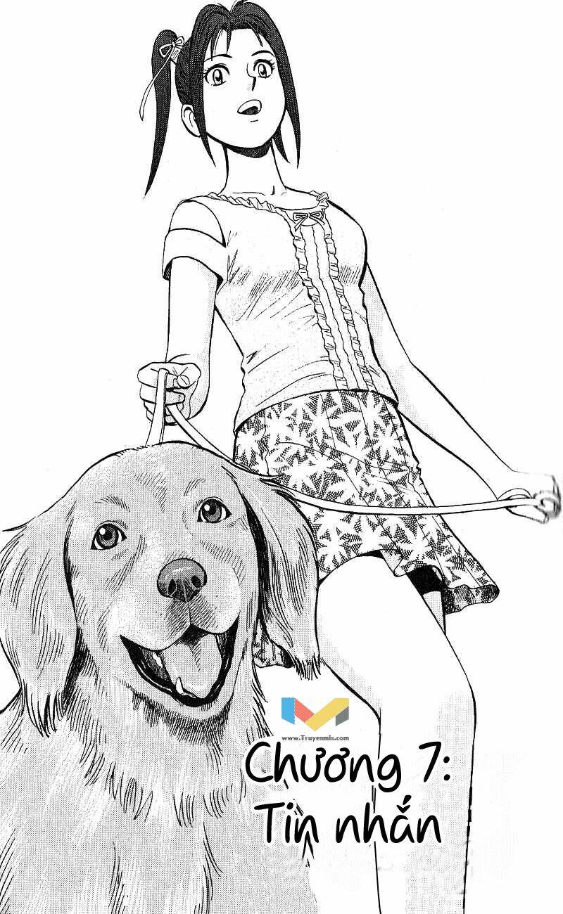 animal sense chapter 7 2