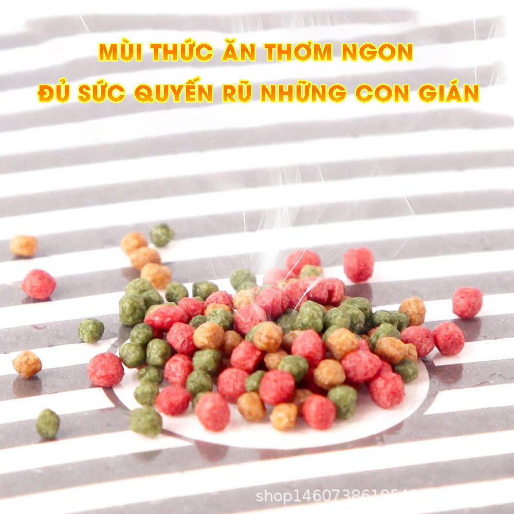 Bẫy gián, dụ côn trùng, giết kiến, bọ chét, rết, nhện, bọ cánh cứng, ruồi, muỗi, dùng miếng dính, 6 cổng dụ, hiệu quả ngay MIHOCO 1332/ Hàng chính hãng