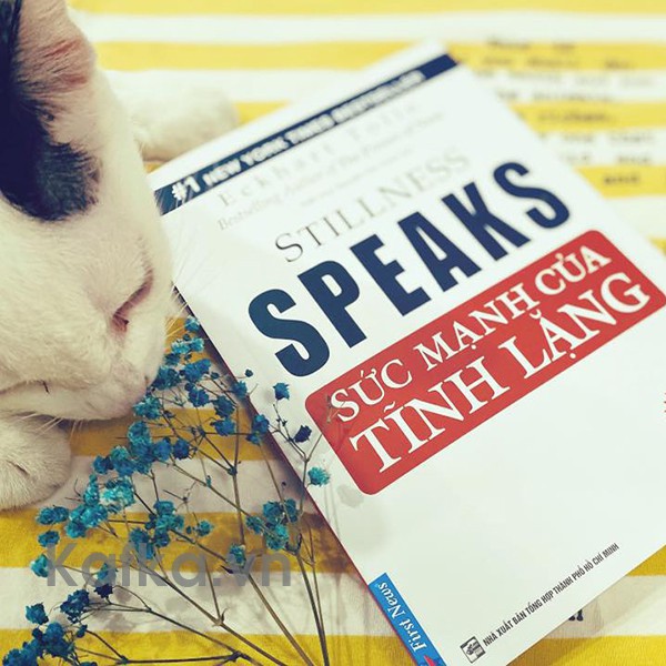 Sức Mạnh Của Tĩnh Lặng - Eckhart Tolle - FN-MK