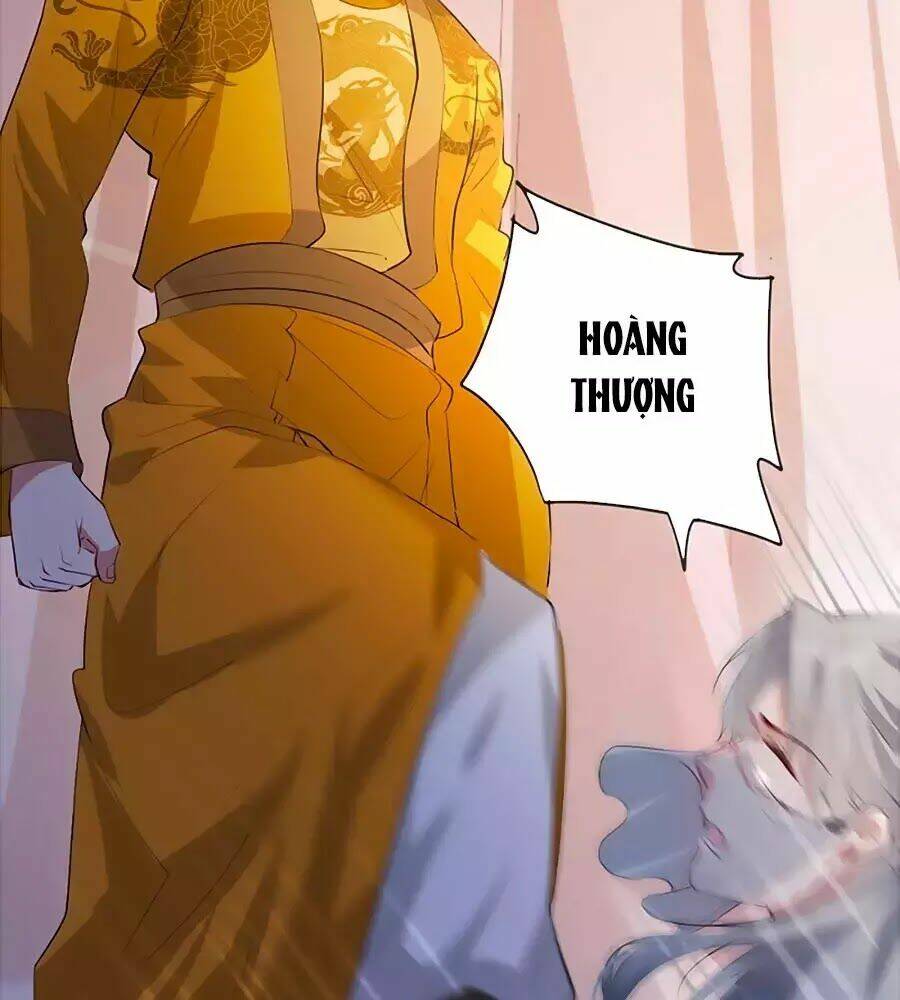 gian phi như thử đa kiều chapter 46 59