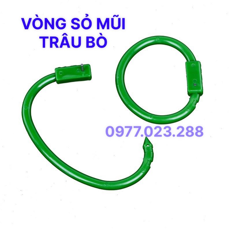 Vòng sỏ mũi trâu bò