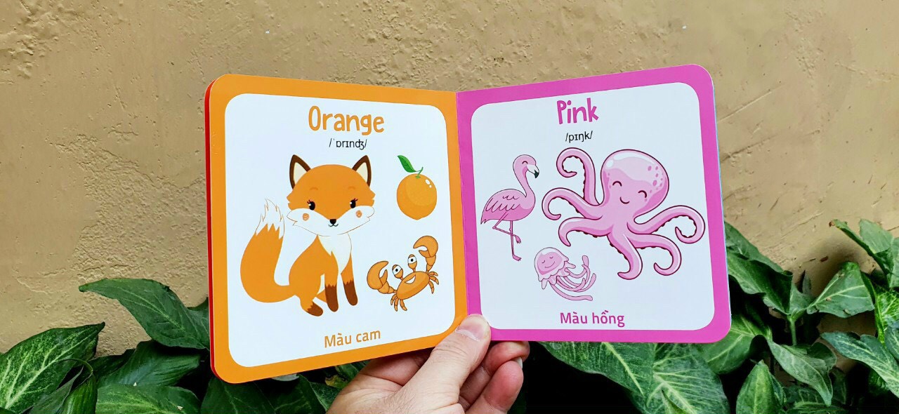 Flash card - My first book Picture - Thư viện song ngữ hình ảnh đầu tiên cho bé