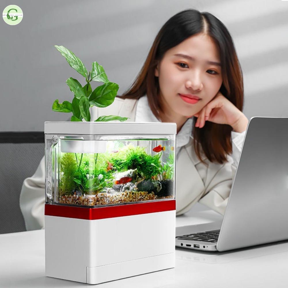 Bể Cá Mini FISH TANK Để Bàn Làm Việc Đa Chức Năng Hồ Thủy Sinh