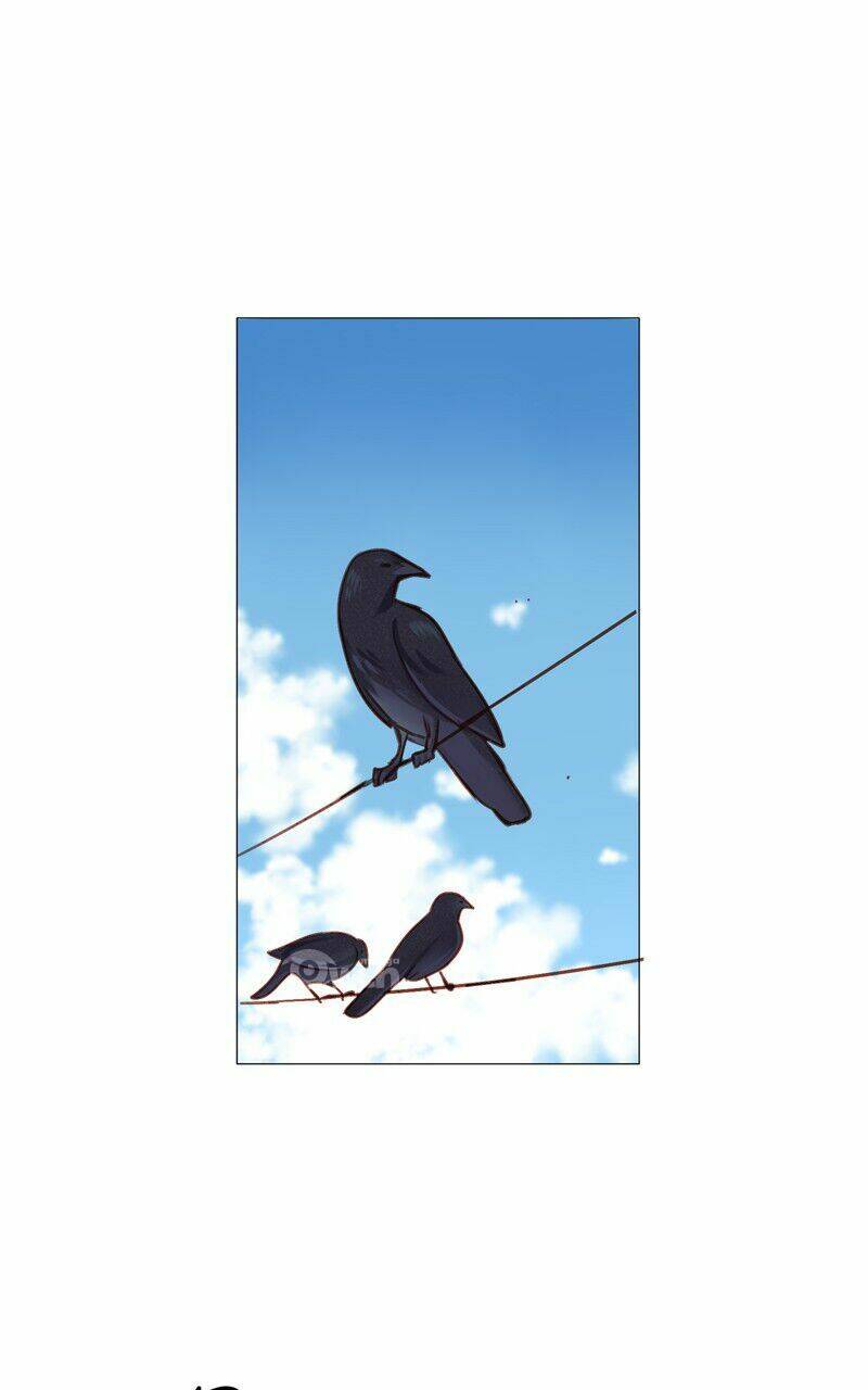 lời nguyền lalin chapter 15 3