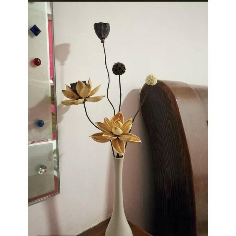 Hoa sen khô giả decor trang trí có sẵn