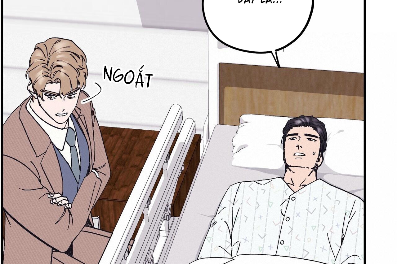 chàng dâu nhà họ kang chapter 32 22