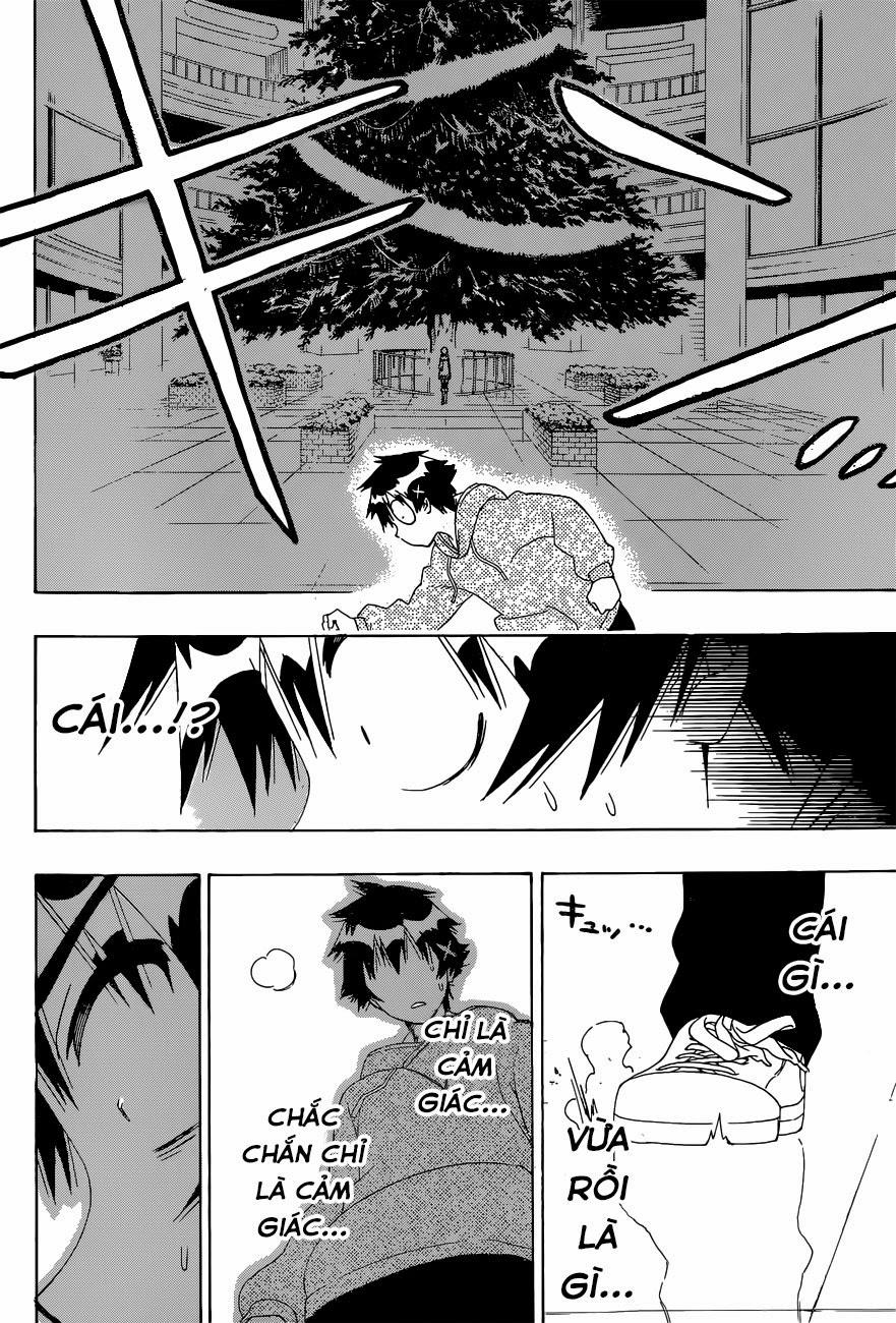 nisekoi - tình yêu giả tạo chapter 167 10