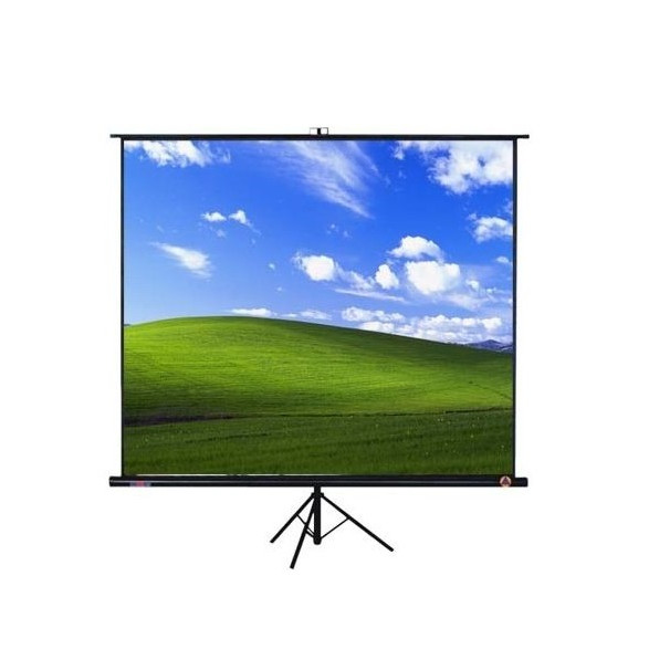 Màn chiếu 3 chân regent 120 inch