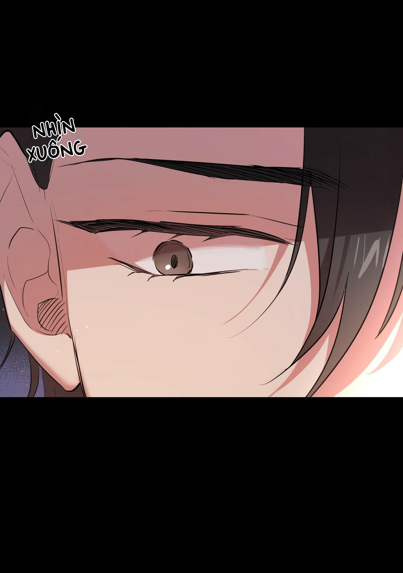 những chú thỏ của hapypy chapter 16 44