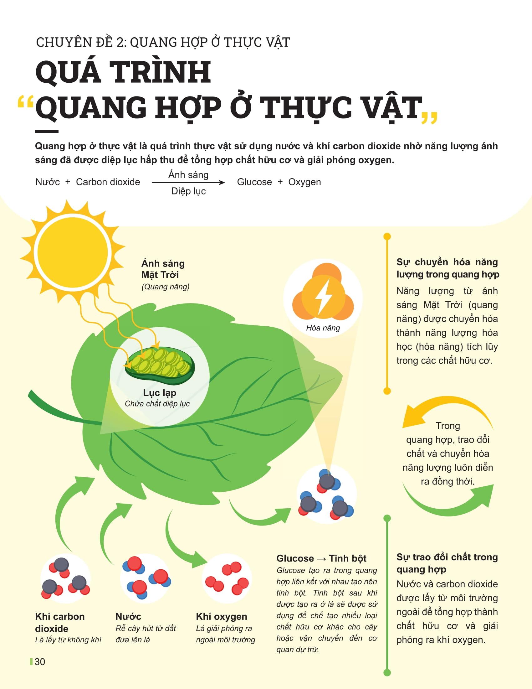 Sách - Đột Phá Tư Duy Khoa Học Tự Nhiên 7 - Tập 2