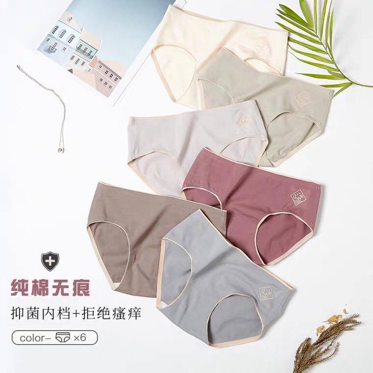 Quần lót nữ cotton y tế kháng khuẩn không đường may siêu đẹp 02