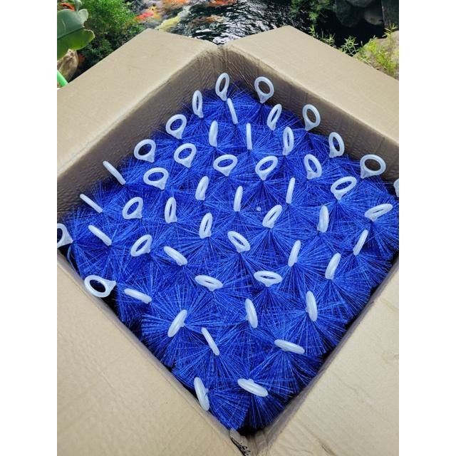 Chổi lọc hồ koi cao cấp KoiMaster Pure Blue 60-80-100-120cm